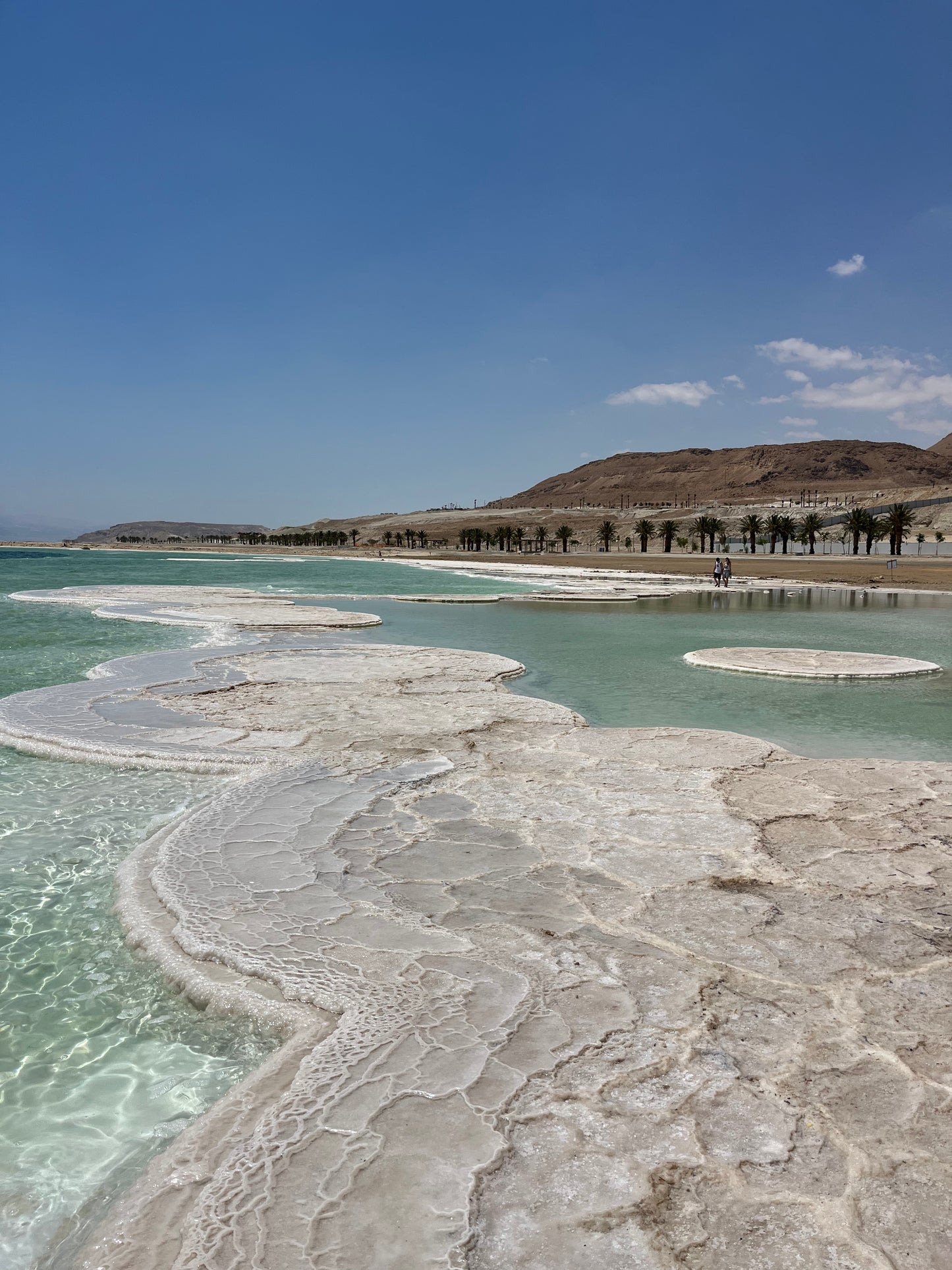 CALCAIRE, EIN GEDI (Copie) (Copie)
