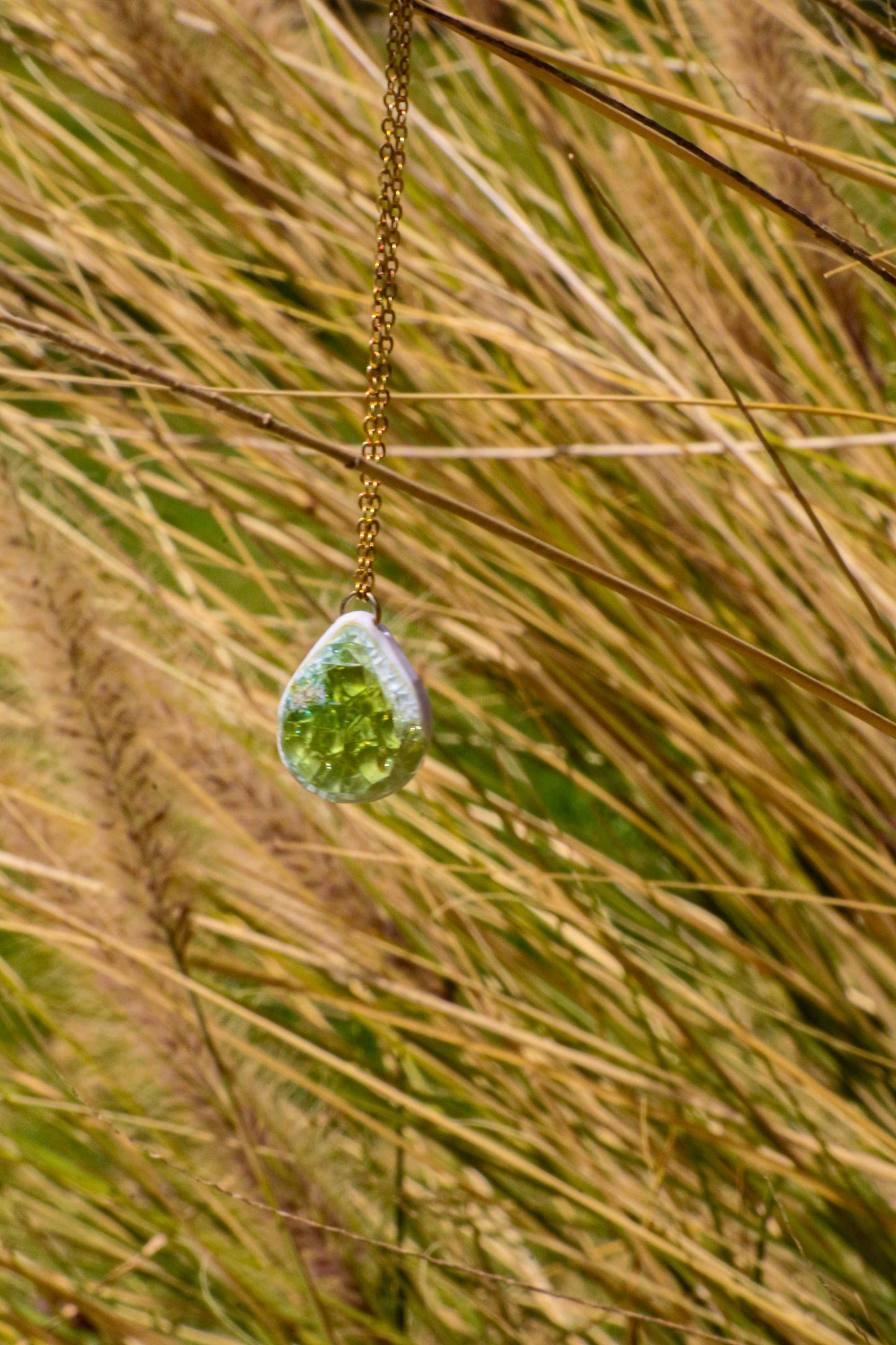 EINORA, MITSPEH RAMON