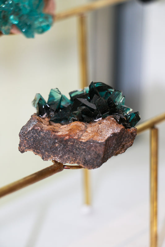 אבן גיר, EIN GEDI 