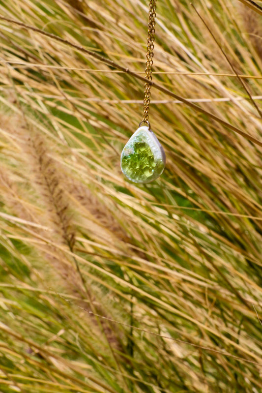 EINORA, MITSPEH RAMON